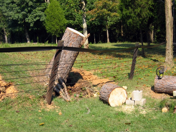 743425282_hurricane ivan damage 016.jpg